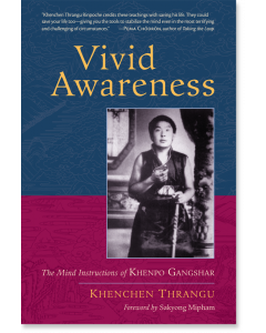 Vivid Awareness
