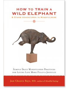 How to Train a Wild Elephant