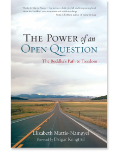 The Power of an Open Question