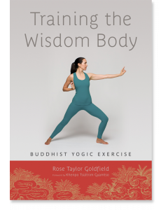 Training the Wisdom Body