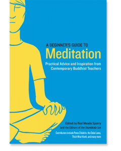 A Beginner's Guide to Meditation