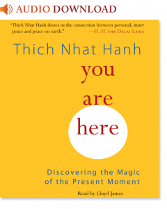 You Are Here