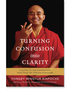 Turning Confusion into Clarity