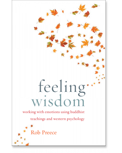 Feeling Wisdom