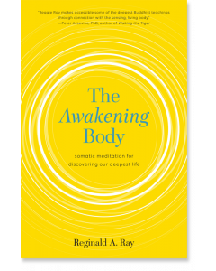 The Awakening Body