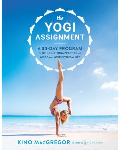 The Yogi Assignment