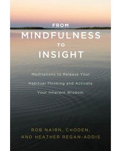 From Mindfulness to Insight