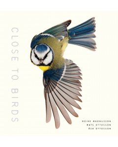 Close to Birds