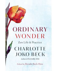 Ordinary Wonder