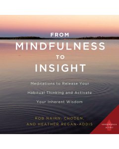 From Mindfulness to Insight