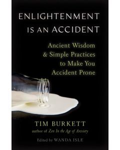 Enlightenment Is an Accident cover