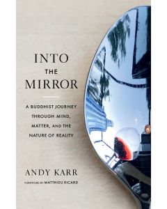 Into the Mirror