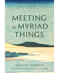 Book cover for Meeting the Myriad Things