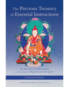 Precious Treasury of Essential Instructions cover