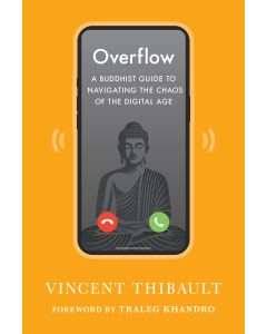 Overflow cover