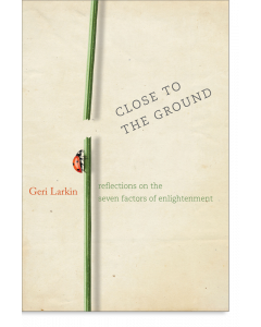 Close to the Ground