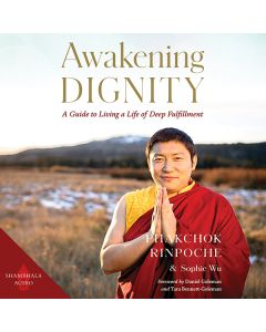 Awakening Dignity