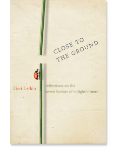 Close to the Ground