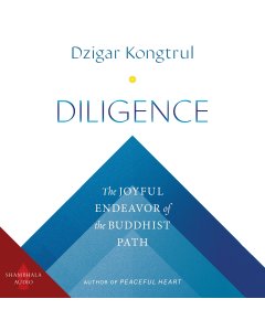 Diligence