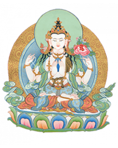 The Bodhisattva Path of Wisdom and Compassion