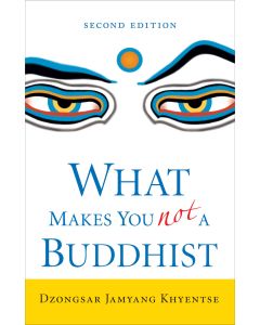 What Makes You Not a Buddhist