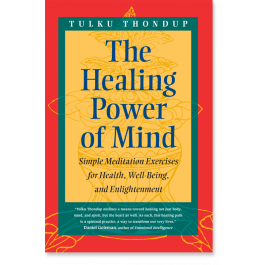 The Healing Power of Mind: Simple Meditation Exercises for Health, Well ...