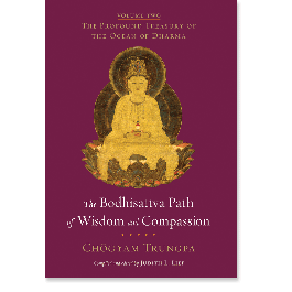 The Bodhisattva Path of Wisdom and Compassion (volume 2