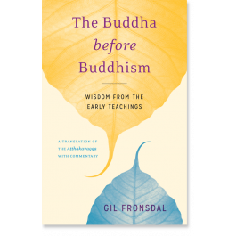 The Buddha before Buddhism: Wisdom from the Early Teachings