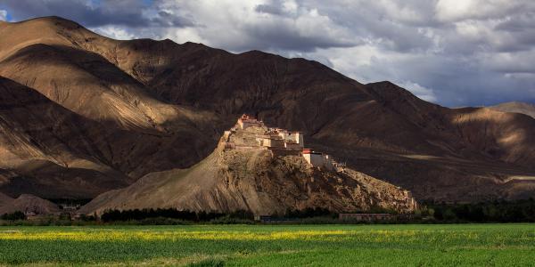 Tibetan Buddhist Books in 2022: A Review