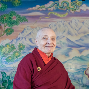 Special Discussion of Reflections on a Mountain Lake | Jetsunma Tenzin Palmo | Hosted online by Banyen Books & Sound