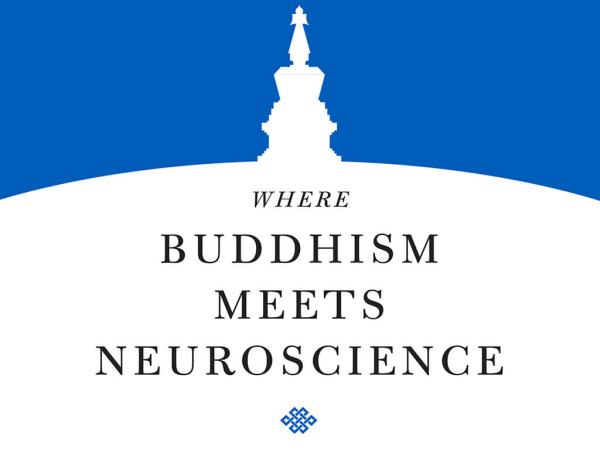 Brain Control of Sleeping and Dreaming States | An Excerpt from Where Buddhism Meets Neuroscience