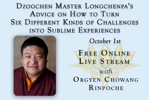 Dzogchen Master Longchenpa's Advice on How to Turn Six Different Kinds of Challenges into Sublime Experiences | Orgyen Chowang Rinpoche | Online