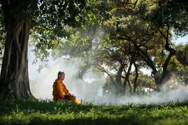 Buddhism and Climate Awareness