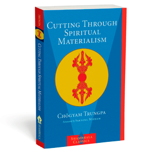 Cutting Through Spiritual Materialism and Meditation in Action