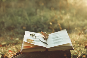Poetry Month 2022