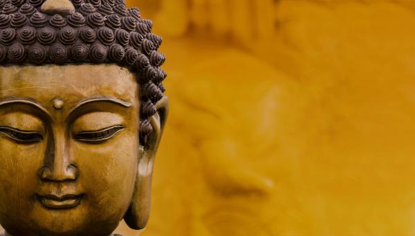 Lojong / Mind Training Reader's Guide