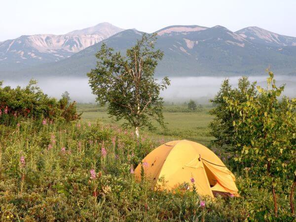 Books to Bring When You Go Camping