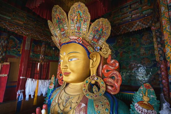 Middle Beyond Extremes, the Madhyāntavibhāga