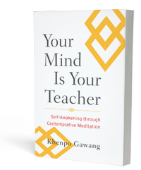 Your Mind is Your Teacher