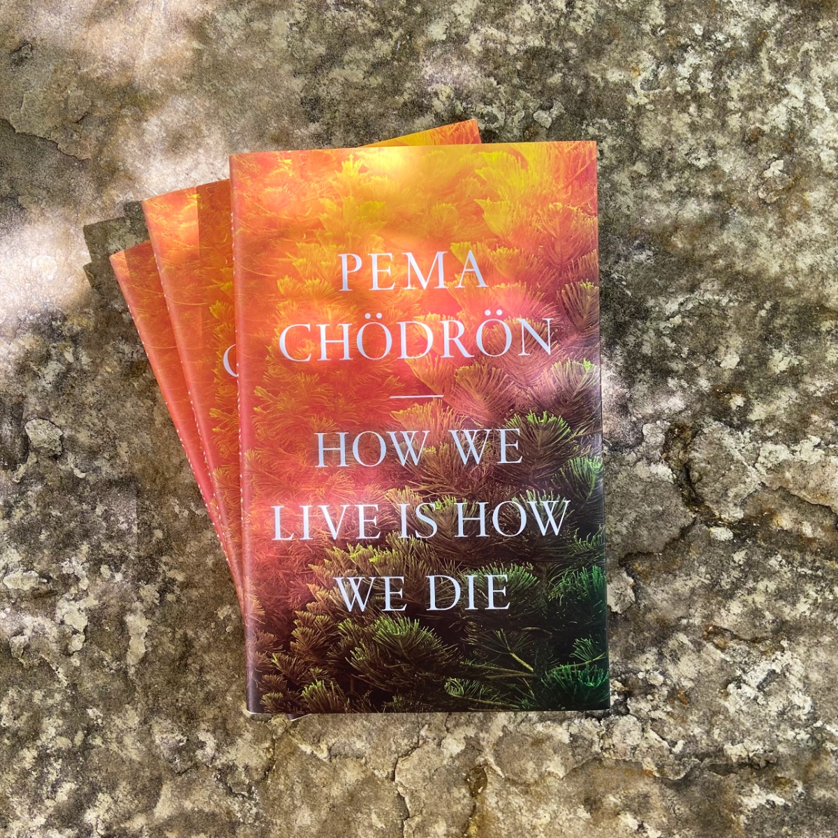 How we live is how we die 9781611809244