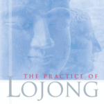Hidden Treasure - The Practice of Lojong