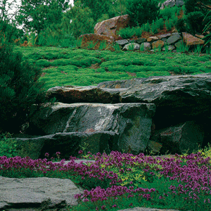 Landscape as Spirit