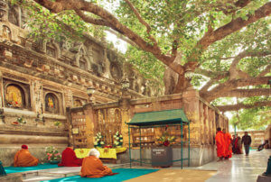 where buddha attained enlightenment, Bodh Gaya