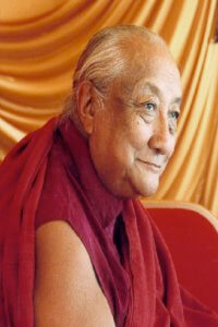 Dilgo Khyentse Rinpoche’s Reincarnation