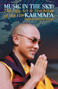 Tibetan Buddhism, Karma Kagyu, The 17th Gyalwang Karmapa, Ogyen Trinley Dorje