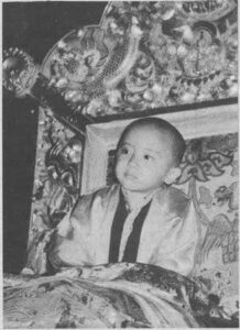 Khyentse Yangsi Rinpoche Enthroned