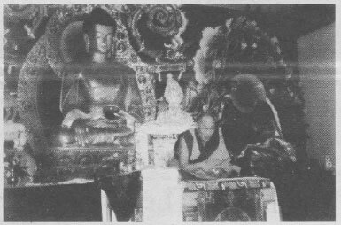 Tibetan Buddhism, Shechen Institute, Bodhgaya, India, Dalai Lama
