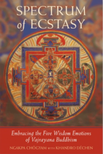 Spectrum of Ecstasy
