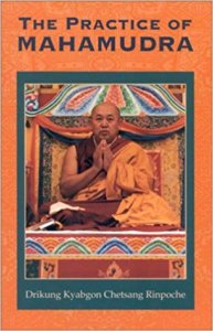 Tibetan Buddhism, The Practice of Mahamudra By Drikung Kyabgon Chetsang Rinpoche