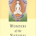 Wonders of the Natural Mind